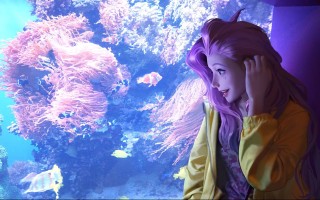 巴西柔术最强格斗术，巴西柔术最强格斗术师是谁？